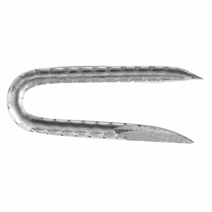 Electro-Galvanized Steel, Fence Staples, 1-3/4In, 5Lb